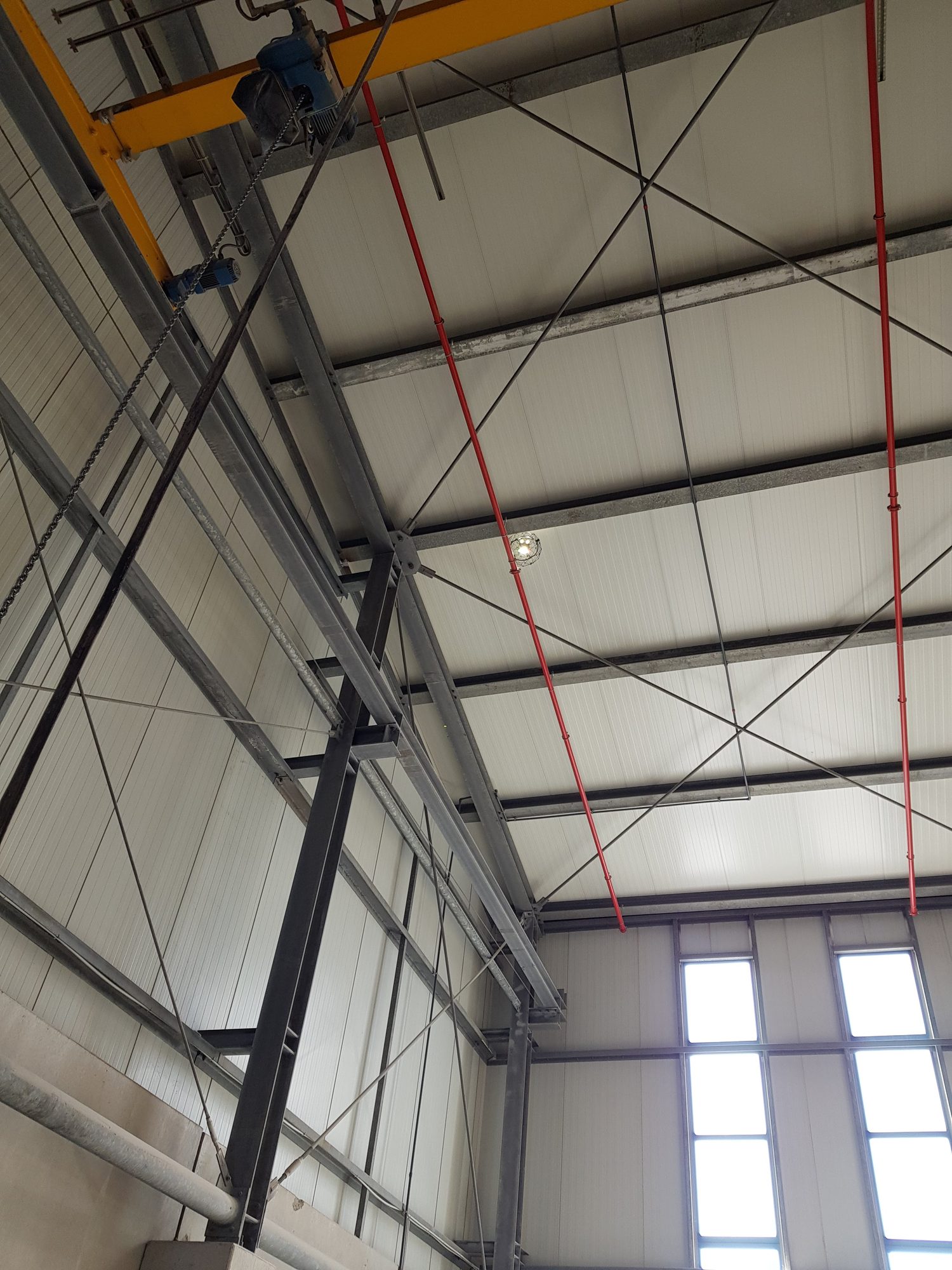 Untersicht einer Stahlhalle mit Pfetten, Windverbänden aus Rundstahl, einem Hängekran mit Kettenzug und roten Rohrleitungen unter dem Dach