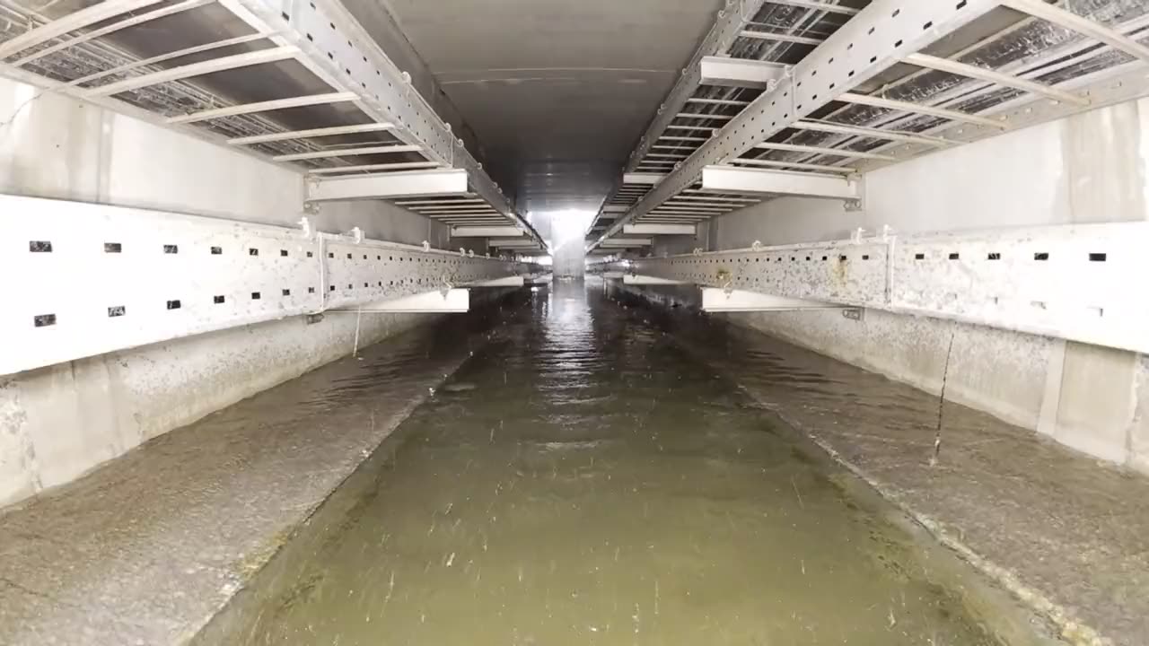 Unterirdischer Kabelkanal mit Kabeltrassen in mehreren Ebenen auf beiden Seiten, am Boden stehendes Wasser
